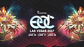 ティエスト「 【EDC 2017】ティエスト/メジャー・レイザー/カイゴら110組以上のアーティストのライブが生配信」1枚目/1