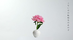 「橋本絵莉子波多野裕文「飛翔」リリックを植物で表現したボタニカルMV公開」