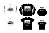 「コーネリアス 新曲「夢の中で」MV公開！ ジャケットTシャツも販売スタート」1枚目/1