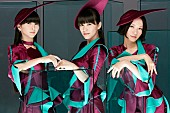 Perfume「星野源/スガシカオ/レキシ/マキシマム ザ ホルモンが【Perfume FES!! 2017】出演決定」1枚目/1