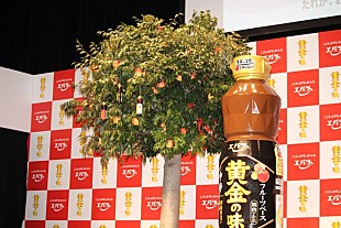 「相葉雅紀“食レポ苦手”を告白？　「プレッシャ－を与えないで…」」