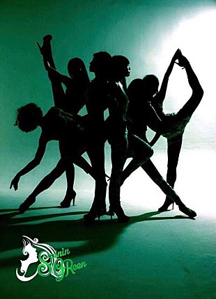 「ダンスユニットSpininGReenがサイバーアート作品を発表、新メンバーで【TECHS3】参戦」