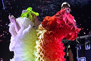 「【FYF Festライブ・レポート】ビョークにしか創り出せない、完璧な世界観を披露」