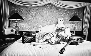 「the brilliant green【神宮外苑花火大会】出演 20周年に向けてアルバムも予定」