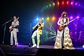 THE ALFEE「THE ALFEE 31回目の夏イベントも大盛況！ 通算ライブ本数2639本で日本バンド最多記録更新」1枚目/7