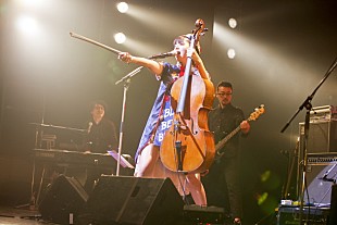 「分島花音 「あなたと誓います。」高く果てしない夢でも、諦められないから…10周年へ“とりあえず神曲めっちゃ書く” 」