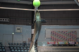 「関ジャニ丸山「聞いてないです…」　“ずぶぬれ”体験にも「涼しい」と笑顔」