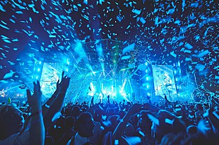 「レディング＆リーズ・フェス、パイナップルの持ち込みを禁止へ」