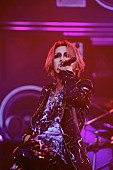 the GazettE「the GazettE 富士の空に花咲かせ、1万人と創造するイカレた景色！ 美しすぎる15周年の夏」1枚目/13