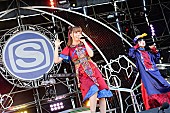 ゆず「Photo by 岸田哲平」3枚目/19