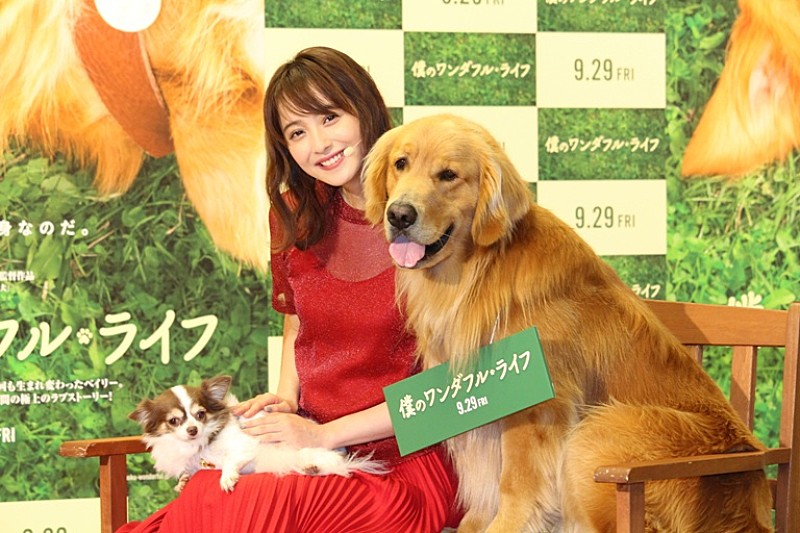 佐々木希「佐々木希、愛犬との出会いを語る　「ビビッときて、急いでお金を下ろしに…」」1枚目/1