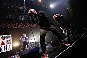 フーバスタンク「Hoobastank×OLDCODEX×coldrain、【ONE THOUSAND MILES TOUR】で共演」1枚目/2