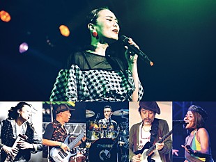 「PUSHIM、東阪ビルボードライブにてイヤーエンドライブの開催が決定」