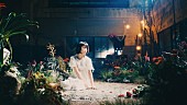 Aimer「」2枚目/8