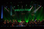 「JUJU 今年の“JUJUの日”開催のBIG BAND JAZZ LIVEで全18曲披露！ 全国ホールツアーも発表」1枚目/6