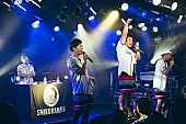 シクラメン「シクラメン、自身最大ツアーで東京にカムバック＆“元旦”公演を発表」1枚目/7