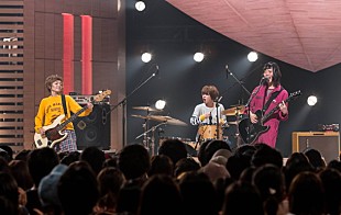 「SHISHAMO/NOBU/コトリンゴを『SONGS』がフィーチャー」