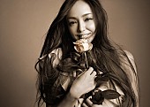 安室奈美恵「安室奈美恵のオールタイム・ベスト『Finally』本日発売」1枚目/3