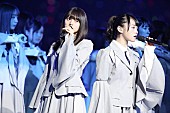 乃木坂46「」3枚目/7