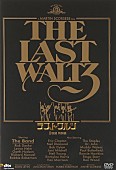 マーティン・スコセッシ「『11月17日はなんの日？』米映画界の巨匠、マーティン・スコセッシの誕生日」1枚目/1