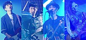 スピッツ「スピッツ 結成30年の軌跡を辿るドキュメンタリーがLIVE DVD/Blu-ray特典映像」1枚目/2