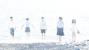 「Cicada、最新AL『White Forest』をいよいよリリース」