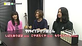 ヤバイTシャツ屋さん「」2枚目/15