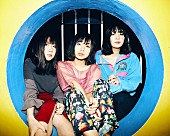 赤い公園「赤い公園 新体制の初ワンマンは全部新曲で！ 2018年1/4立川BABELにて開催」1枚目/1