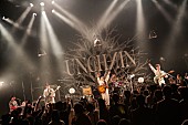 ＵＮＣＨＡＩＮ「PHOTO：タマイシンゴ」4枚目/10