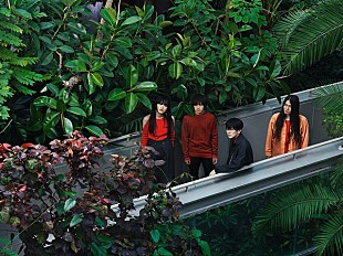 「雨のパレード、新作アルバムリリース決定＆ワンマンツアー発表」