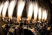 MAN WITH A MISSION「MAN WITH A MISSION「自信があるのは素肌だけ？」桃井かおり友情出演！ 【Dog Days Tour 2017】さいたまスーパーアリーナ2days完遂!! ロンドン単独公演追加発表も」1枚目/11