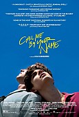 ルカ・グァダニーノ「映画『Call Me By Your Name』（原題)、GG賞主要3部門にノミネート　アカデミー賞大本命へ前進」1枚目/1