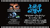 マイケル・ジャクソン「」5枚目/12