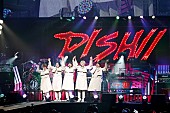 DISH//「DISH//　毎年恒例の元日公演を開催、新曲も初披露」1枚目/10