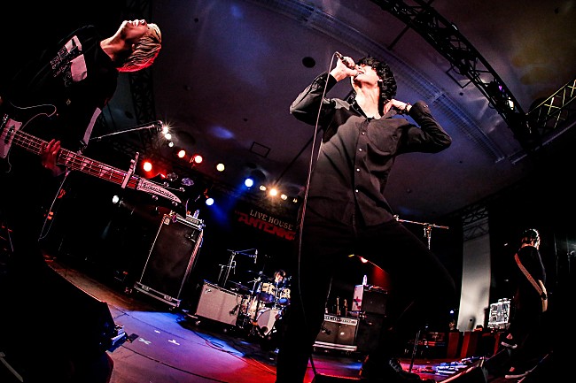 「Ivy 写真提供：FM802」34枚目/49