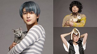 「コムアイ(水曜日のカンパネラ)が映画初出演、沢尻エリカ6年ぶりの主演作『猫は抱くもの』が6/23公開」