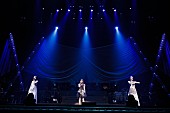 Ｋａｌａｆｉｎａ「Kalafina 10年分の軌跡とここから続く未来を示した武道館公演」1枚目/4