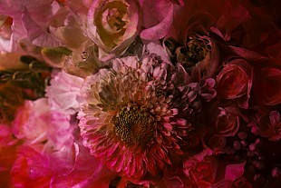 「world’s end girlfriend、新作『MEGURI』の予告動画が公開」