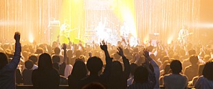 「初心者のための“完全無料ライブ”にSAKANAMON、Saucy Dog、コレサワ、Absolute area出演」