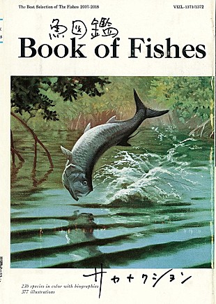 「【Chart insight of insight】  サカナクションの計算された戦略？！ベスト盤と過去曲がチャートイン」