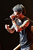 MIYAVI「」3枚目/7