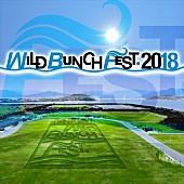 ザ・クロマニヨンズ「出演アーティスト第1弾発表【WILD BUNCH FEST. 2018】さらに今年は開催エリアが移動」1枚目/1