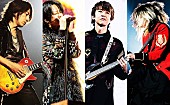 GLAY「GLAY 地元・函館にて5万人動員の大型野外ライブ開催」1枚目/2