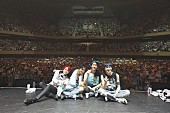 ＷＩＮＮＥＲ「WINNER、自身初の武道館公演にして感動のツアーファイナル！　レポートが到着」1枚目/5