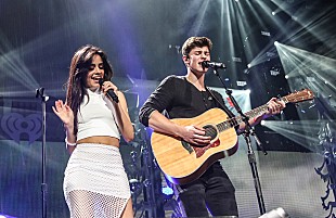 「カミラ・カベロ、ショーン・メンデスとのキュートなポラロイド写真を投稿」