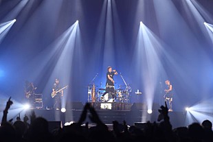 「8,000人動員の【Tokyo Street Collection】で、SPYAIR、175R、祭nine.、ソナポケら熱唱」