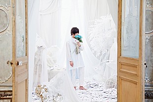 「天月-あまつき-、初の日本武道館ワンマン公演決定」