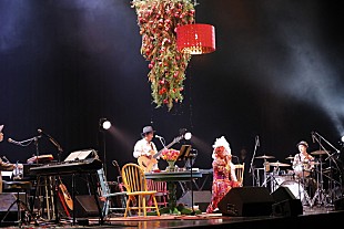 「Chara、小編成バンドで巡る全国ツアーファイナルはアットホームな雰囲気に」