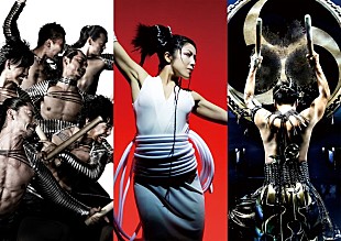 「DRUM TAO　公式ファンクラブをオープン」