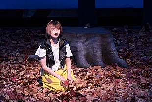 「水曜日のカンパネラ、初の劇伴作品『猫は抱くもの（オリジナルサウンドトラック）』をデジタルリリース決定」